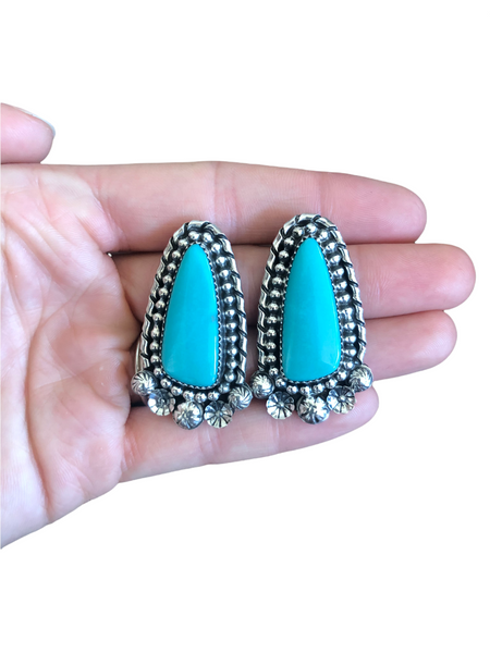 Stunning Sonoran Turquoise Earrings